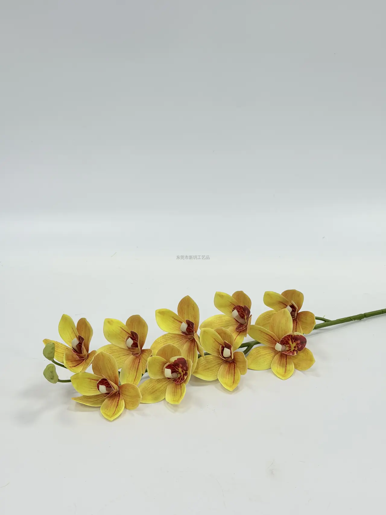 吊兰, Einzelstiel, Product code JX2021001-1, 单支JX2021001-1, image 1
