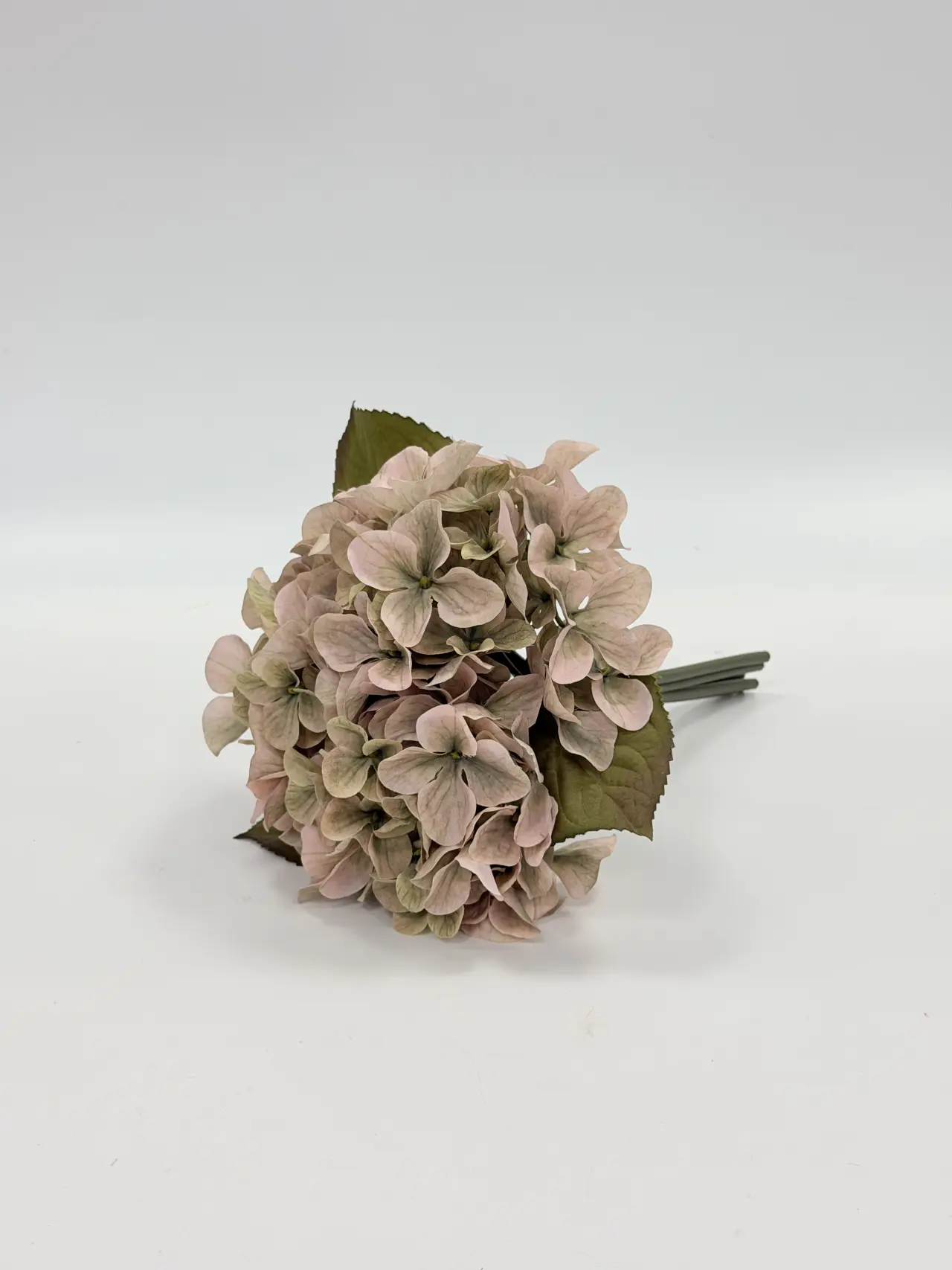 绣球, Strauß, Product code JH124Q-10, 把束JH124Q-10, image 1