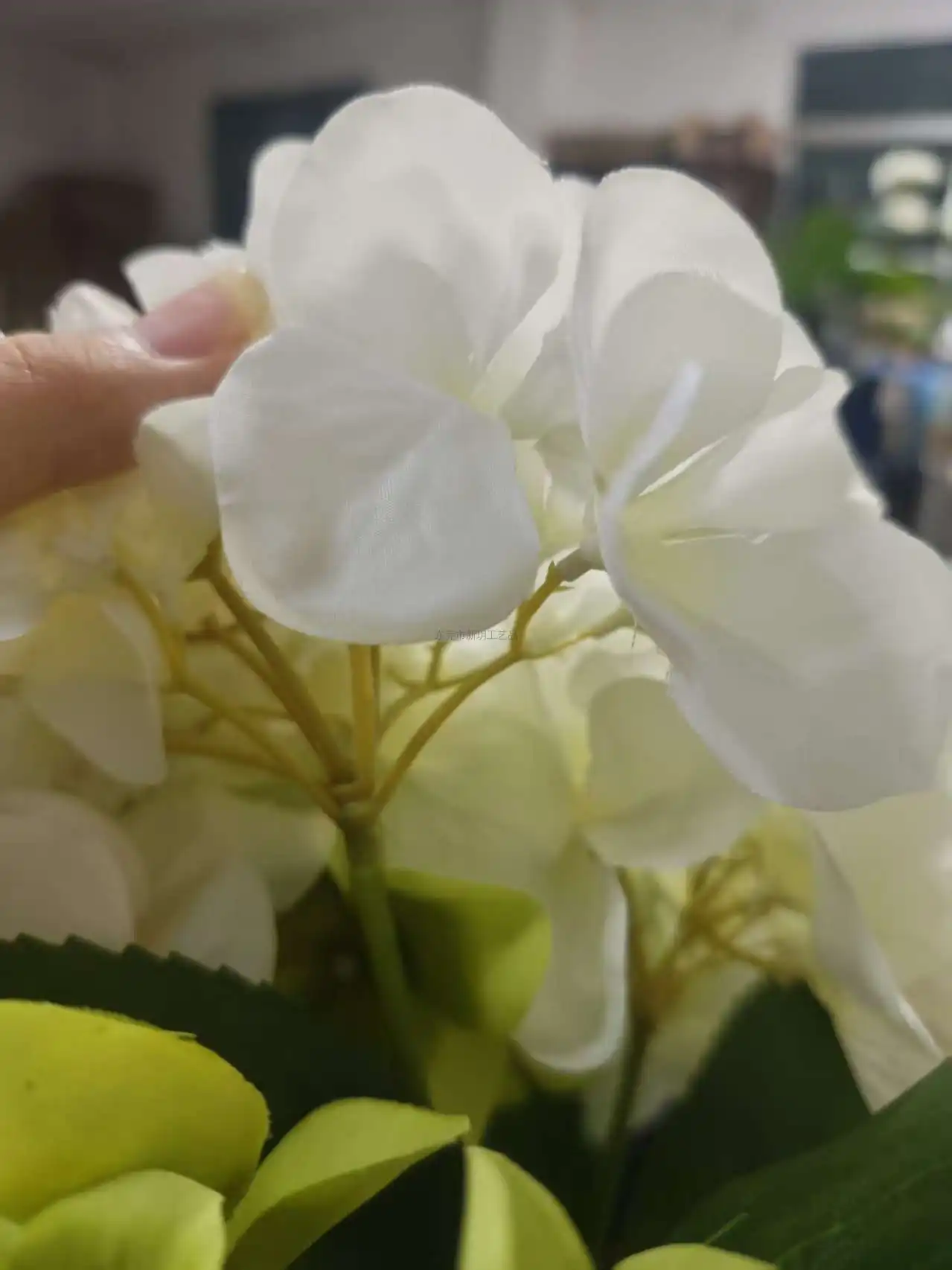 未命名物料