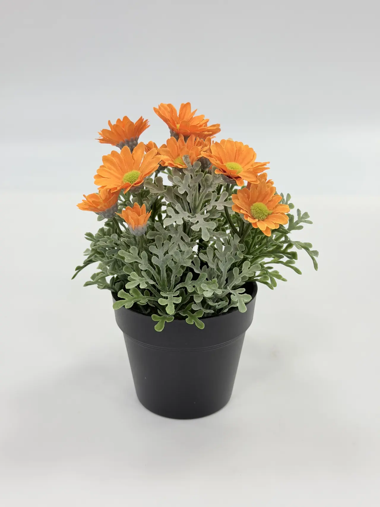 Fleurs artificielles XinYue - 常规盆栽仿真菊花HBAPT24111-6