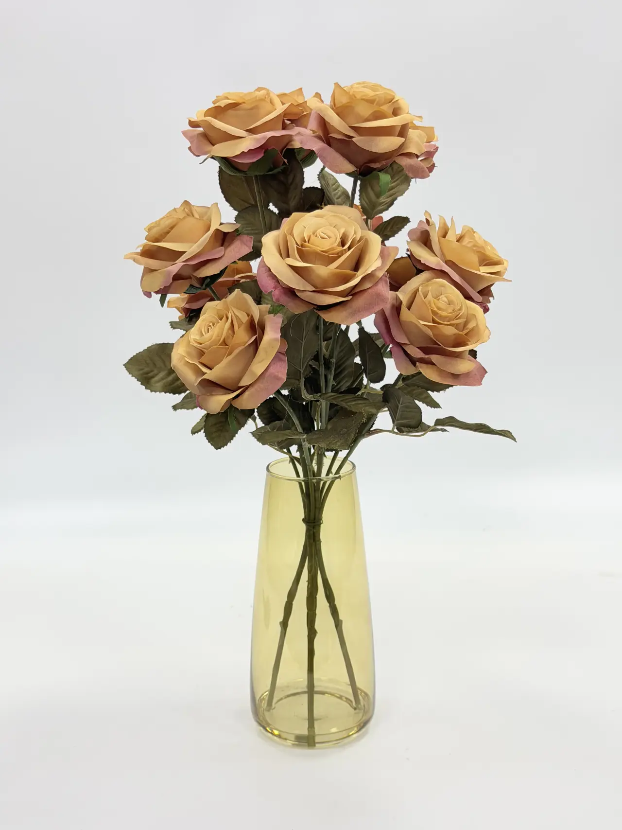 玫瑰, En pot standard, Product code HBAPT26070-79, 常规盆栽HBAPT26070-79, image 1