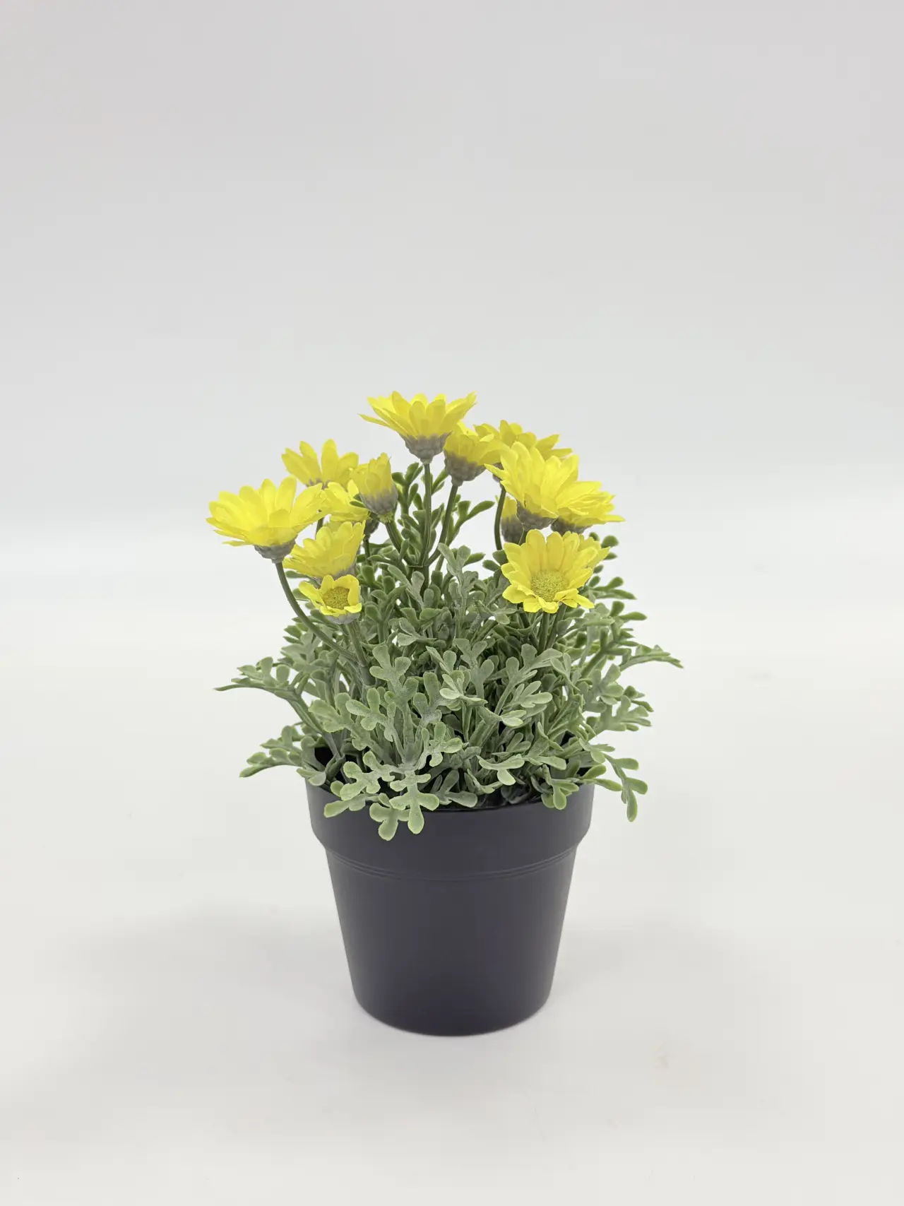 Flores artificiales XinYue - 常规盆栽HBAPT24111-3