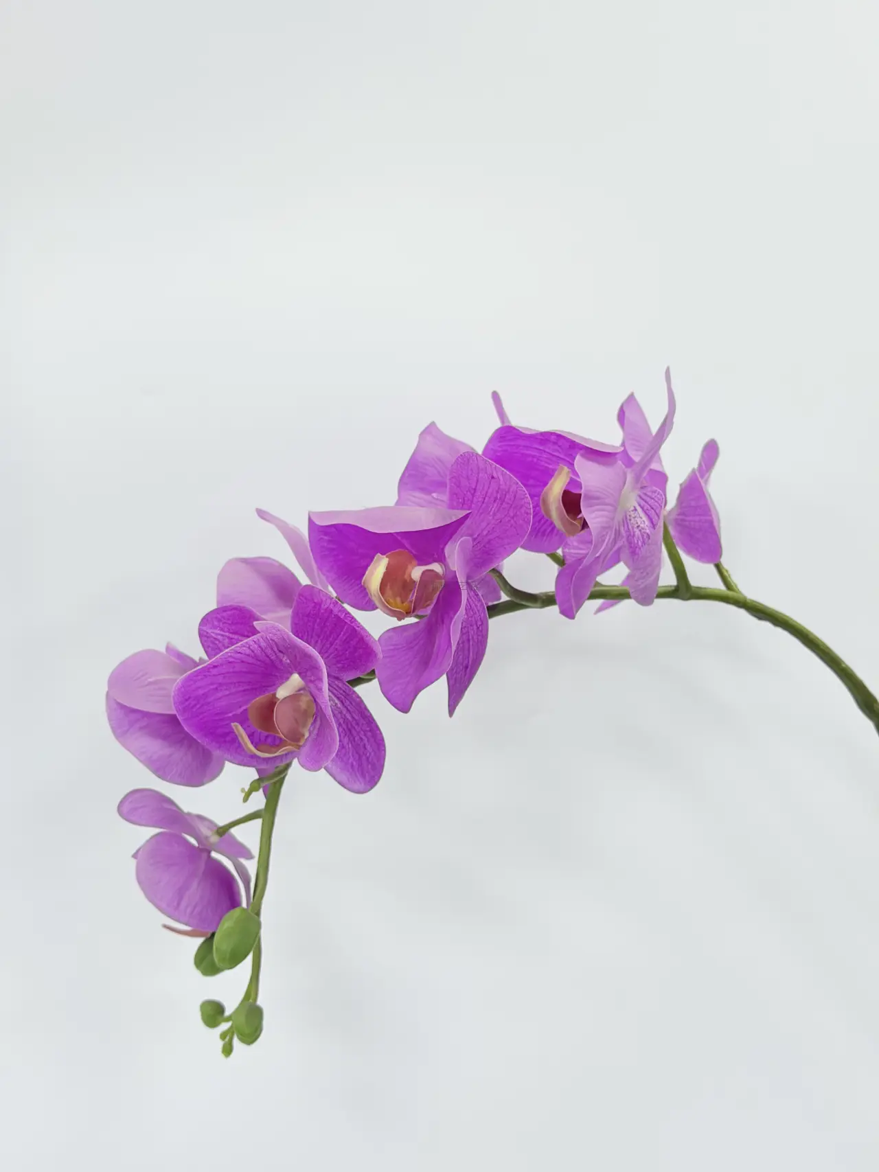 其他, ساق واحد, Product code HDL2017003-H019, 单支HDL2017003-H019, image 1