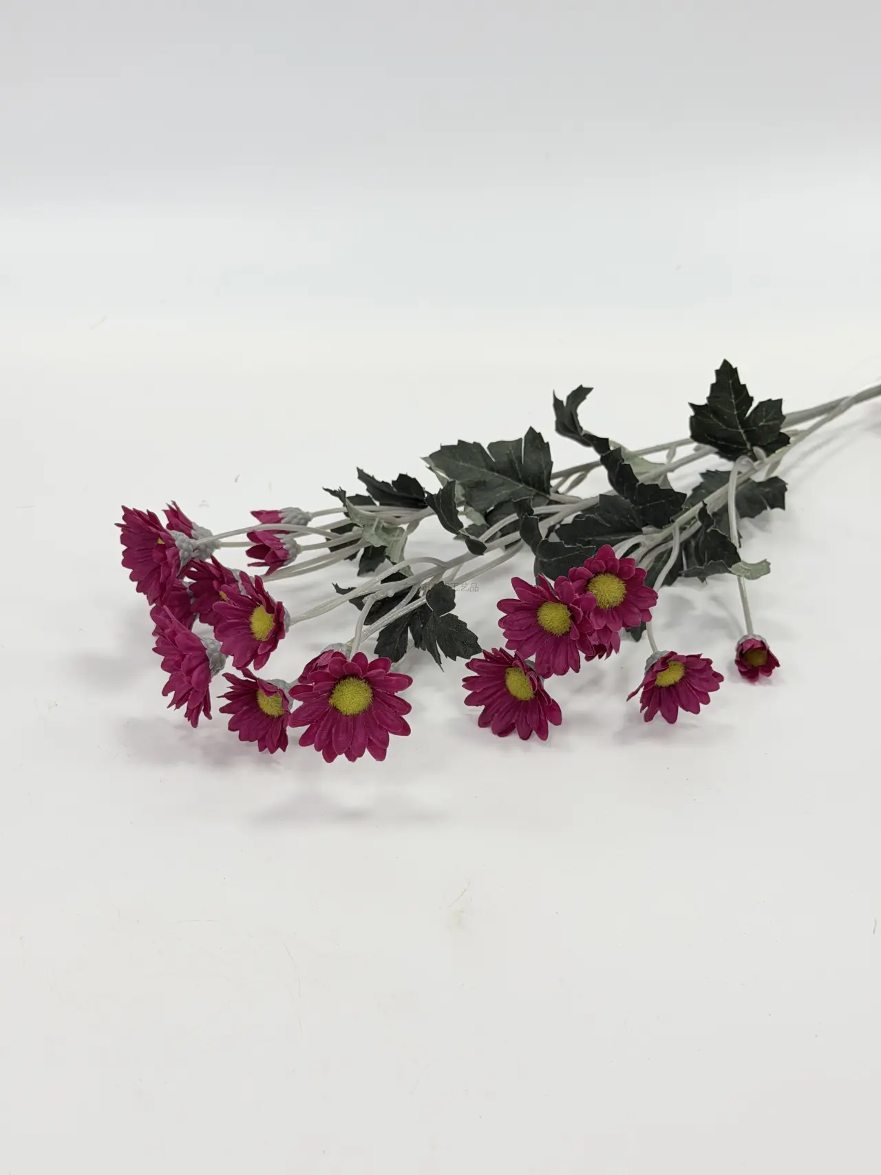 菊花, Tallo único, Product code JH128-4, 单支JH128-4, image 1