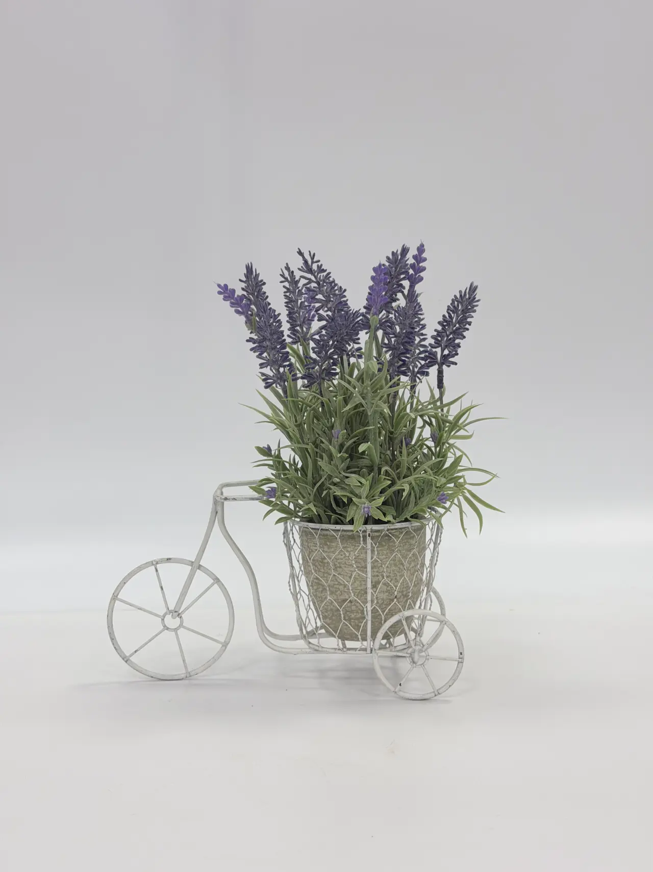 نباتات خضراء, Product code HBAPT18024-, 绿植HBAPT18024-, image 1