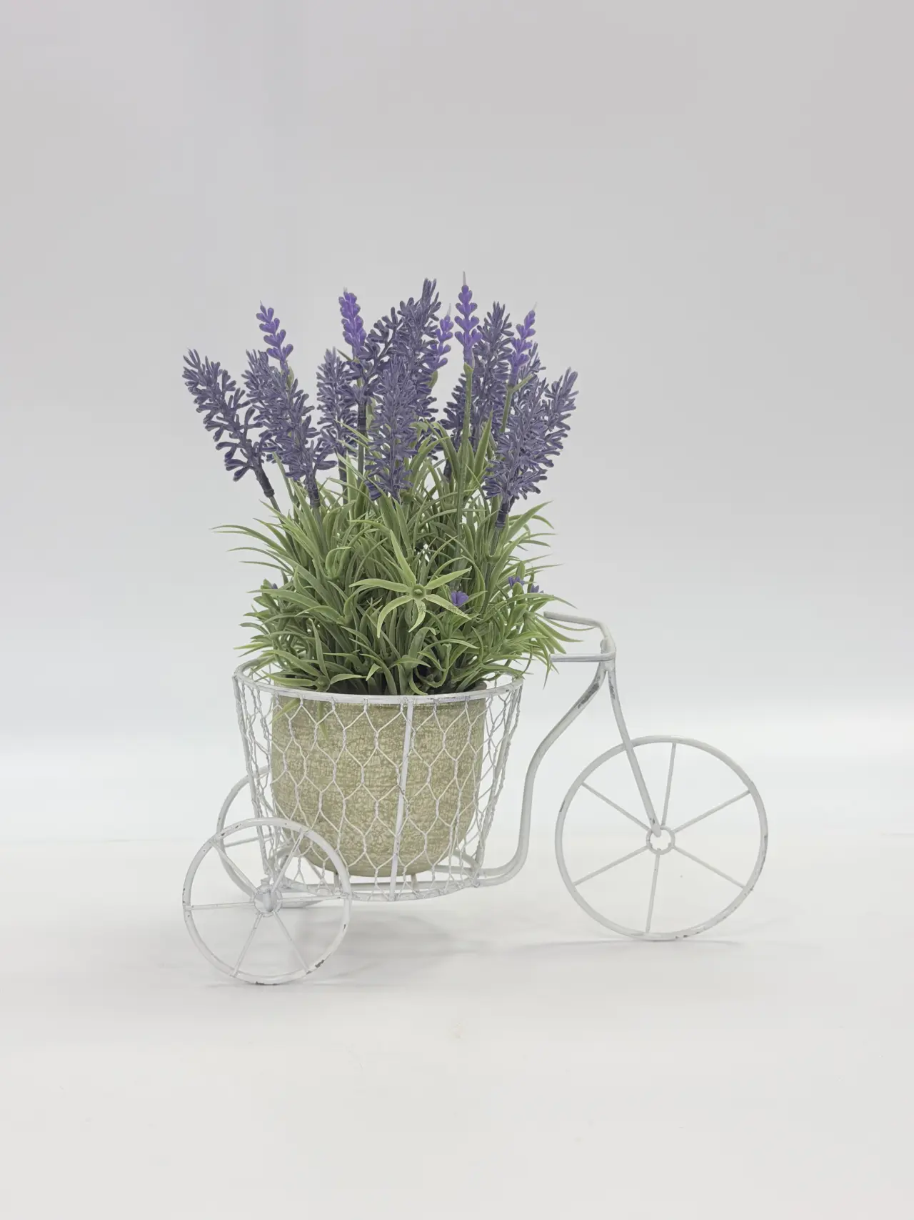 Зелень, Product code HBAPT18025-, 绿植HBAPT18025-, image 1