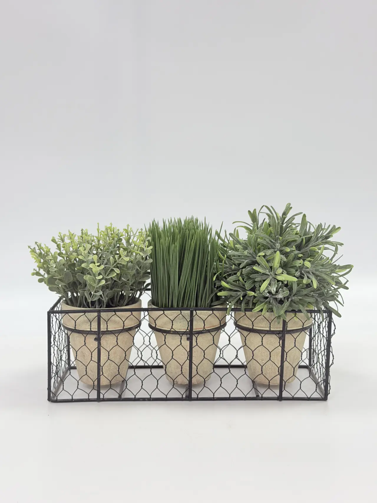 نباتات خضراء, Product code HBAPT19009-, 绿植HBAPT19009-, image 1