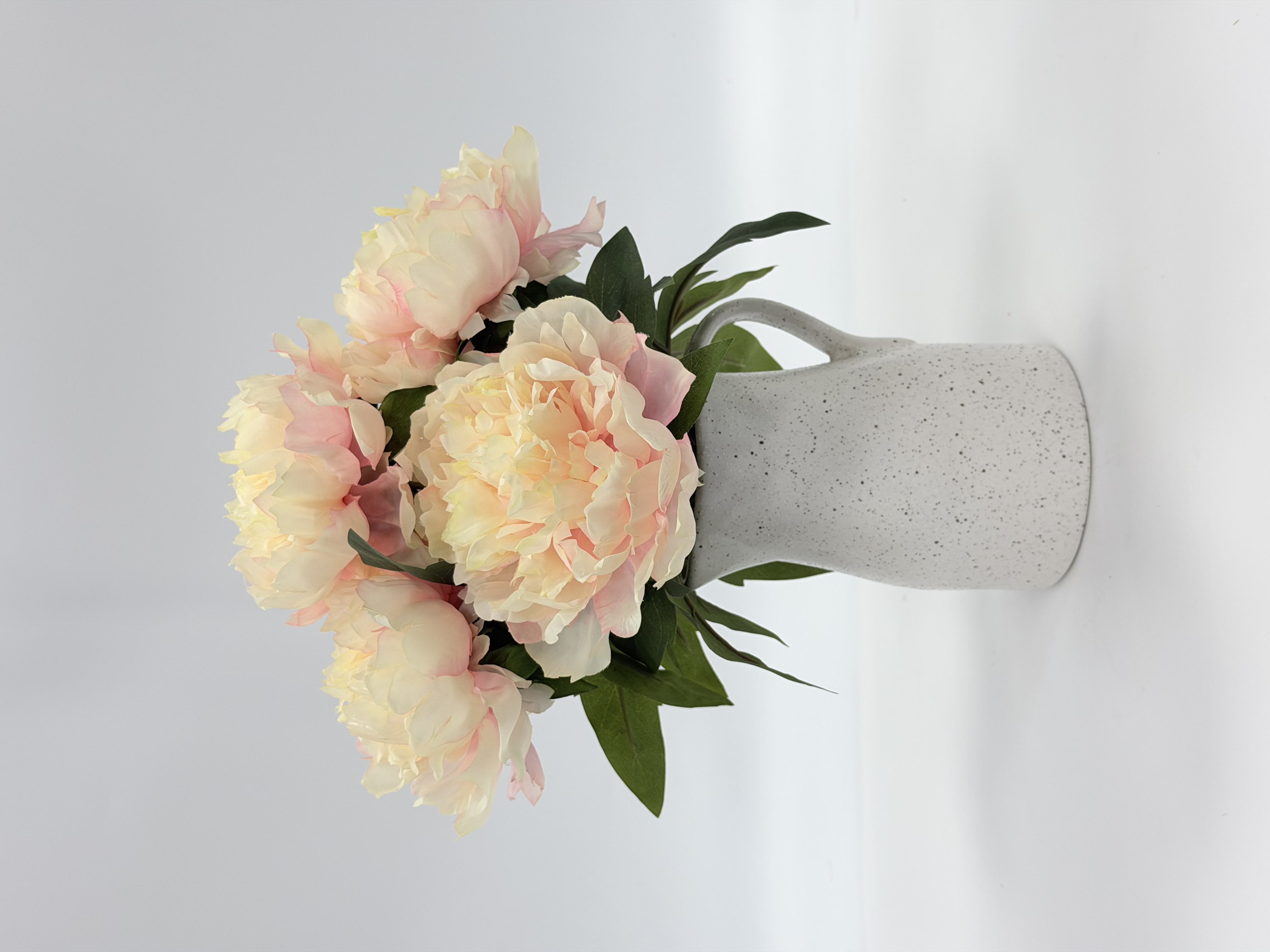 新绣球花, Maceta estándar, Product code HBAPT24064-12, Unnamed Product, image 1