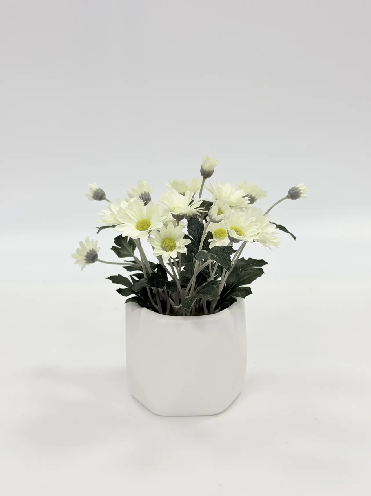 زهور XinYue الاصطناعية - 常规盆栽仿真菊花HBAPT25185-1